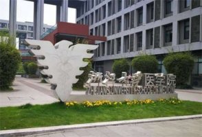 浙江大学医学院附属靠前医院整形科怎么样？热门项目介绍