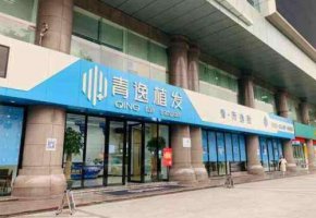 广州青逸植发医院怎么样？医院实力点评|真人植发案例展示！