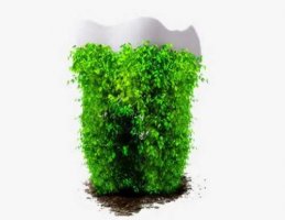 河北省医科大学第二医院口腔科怎么样?含热门专家/牙齿矫正点评