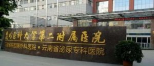 昆明双眼皮手术好的医院有哪几家？2024医院榜单公布！