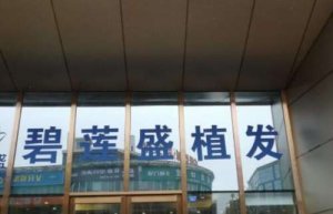 西宁碧莲盛植发医院地址在哪？罗列医生团队和医院基本信息