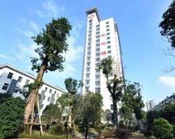 内江眼科医院哪家好?这五家医院良心推荐,不容错过 内江眼科医院哪家好?这五家医院良心推荐,不容错过