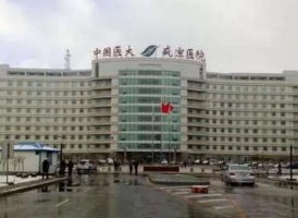 沈阳盛京医院有整形科吗?医生技术点评+全新价格表 沈阳盛京医院有整形科吗?医生技术点评+全新价格表