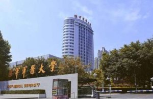 中国整容医院排行榜十名 ，西南医院、郑大附一等实力突出