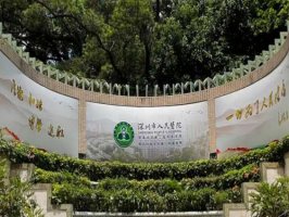 深圳十大眼科医院近视排名亮相，前十强热门医院不容错过