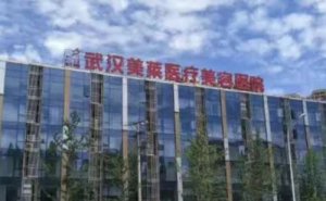 武汉美莱医疗美容医院彩光祛斑怎么样?手术价格多少钱 武汉美莱医疗美容医院彩光祛斑怎么样?手术价格多少钱