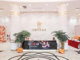 合肥华美和禾丽怎么样?哪个技术水平更好一些?