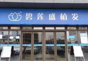 碧莲盛植发技术怎么样?相关医生推荐!植发价格表 碧莲盛植发技术怎么样?相关医生推荐!植发价格表