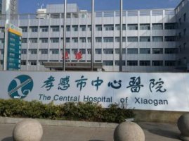 孝感市可以做植发吗?哪家植发医院技术好?实力点评 孝感市可以做植发吗?哪家植发医院技术好?实力点评