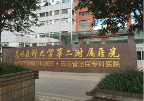 昆明隆胸医院哪家好?详情在以下文章!