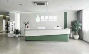 温州医院植发排名前十?包括有温州青禾植发、温州和平国际医院、大麦微针植