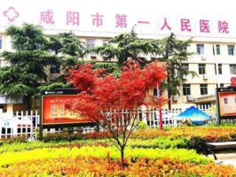 咸阳正规整形美容医院有哪些？2024人气医院汇总