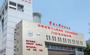 云南大学附属医院v脸整形术后120天案例&技术怎么样?