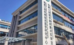 空军军医大学口腔医院两腮凹陷填充胶原蛋白90天案例&技术怎么样?
