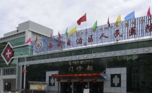 拉萨三甲整形医院排名,技术专业 拉萨三甲整形医院排名,技术专业