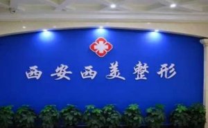 西安碑林西美假体丰胸(隆胸)要多少钱?口碑评价好不好? 西安碑林西美假体丰胸(隆胸)要多少钱?口碑评价好不好?