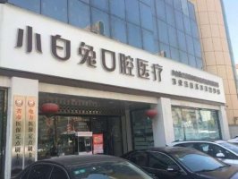 荆门市的小白兔口腔医院是公立的吗?概况介绍+价目表
