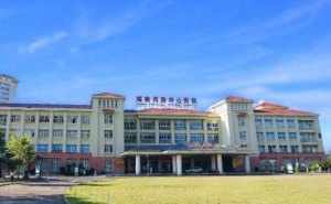 海南西部中心医院植发技术亮点怎么样?案例反馈