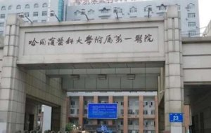 哈尔滨整形三甲医院有哪些?推荐当地五家口碑机构! 哈尔滨整形三甲医院有哪些?推荐当地五家口碑机构!